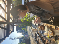 リュウ先生（神奈川のカフェで中国語会話）