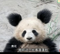ホシ【中国語会話のセンセー紹介】