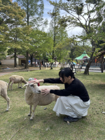 ララ先生（兵庫のカフェで中国語会話）